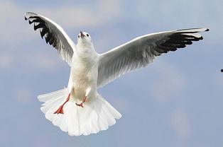 36p图片,探寻视觉艺术的无穷魅力